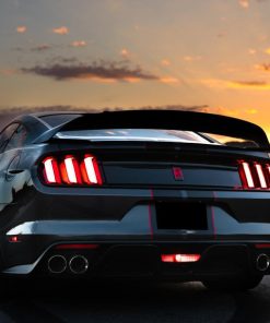 Alternative view of GT350R Style Carbon Fiber Spoiler - Ford Mustang