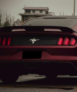 Alternative view of GT500 Style Carbon Fiber Spoiler - Ford Mustang